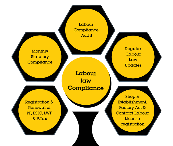 Labour Law Compliance: What Organisations Should Know